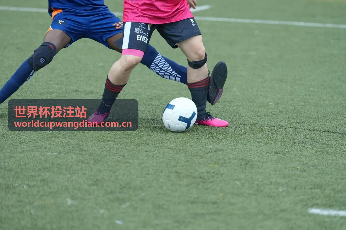 世界杯投注站资讯封面